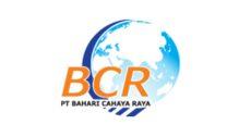 Lowongan Kerja Marketing Executive – Operational EMKL Import di PT. Bahari Cahaya Raya Indonesia - Semarang