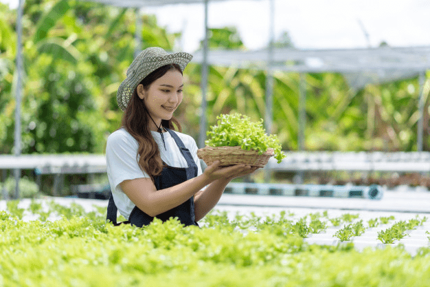 Bisnis Sampingan Untuk Karyawan