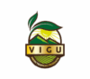 Lowongan Kerja Content Creator – Graphic Designer – Digital Marketing Strategist di PT. Vigu Farm Indonesia