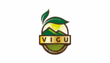 Lowongan Kerja Content Creator – Graphic Designer – Digital Marketing Strategist di PT. Vigu Farm Indonesia - Semarang