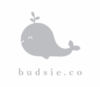 Lowongan Kerja Accounting/Keuangan – Interior Designer di CV. Budsie Furniture Indonesia