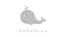 Lowongan Kerja Accounting/Keuangan – Interior Designer di CV. Budsie Furniture Indonesia - Semarang