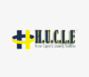 Lowongan Kerja WEB Developer di PT. Hucle Indonesia