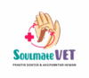 Lowongan Kerja General Asistant di Soulmate Vet